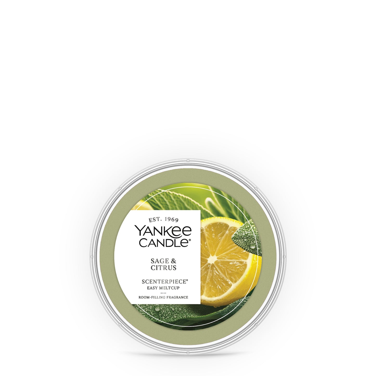 Sage & Citrus Studio 2-0854