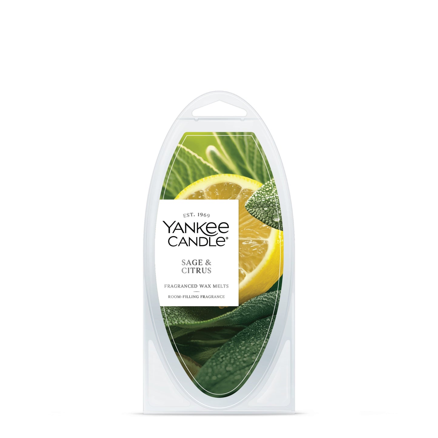 Sage & Citrus Wave 2-0349