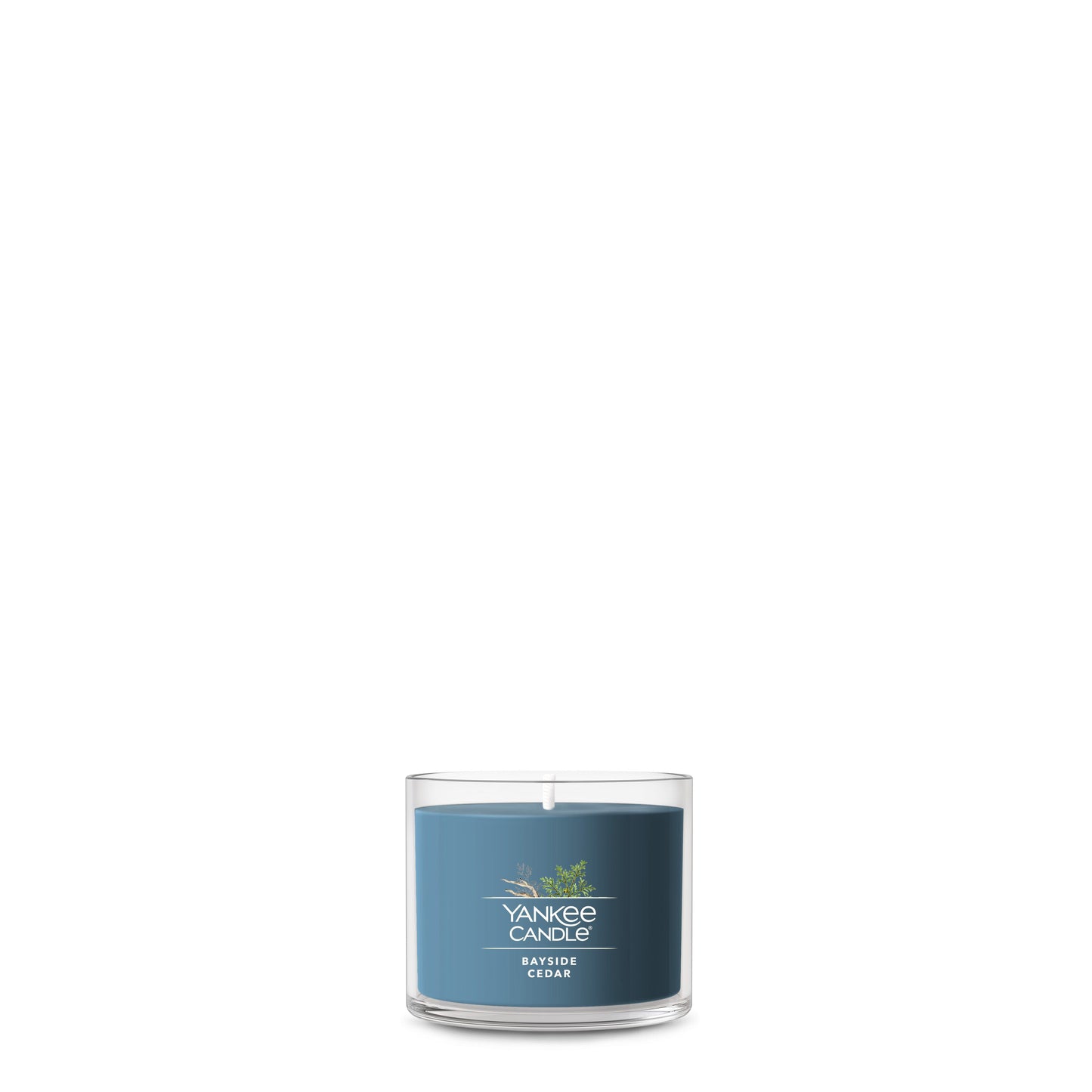 Bayside Cedar Daily 2-0226