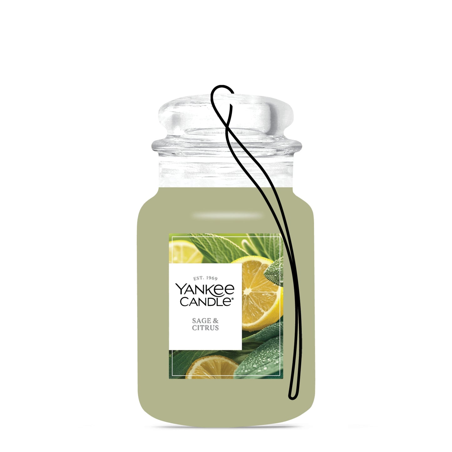 Sage & Citrus Series 2-0751