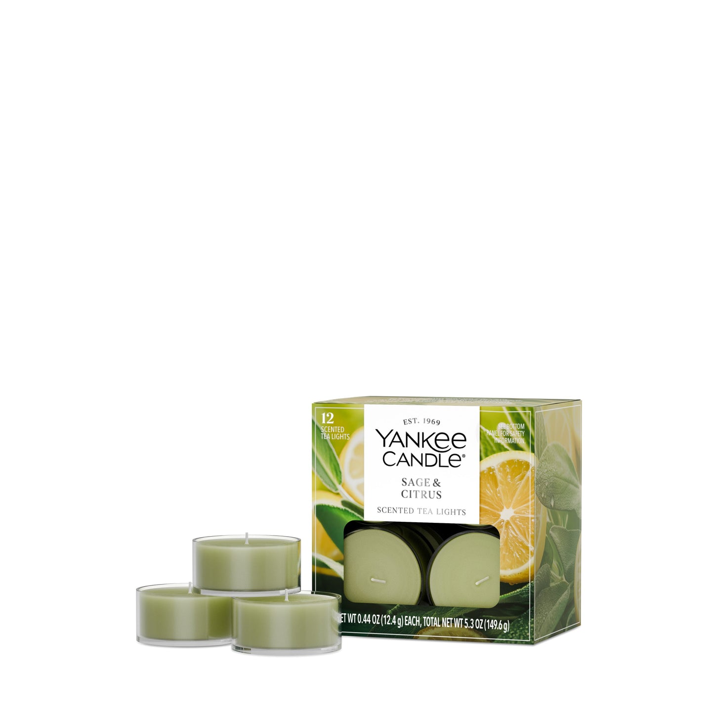 Sage & Citrus Studio 2-0854